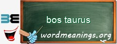 WordMeaning blackboard for bos taurus